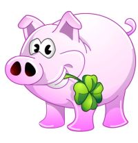 Mehr über den Artikel erfahren Jahreswechsel und DM 2013